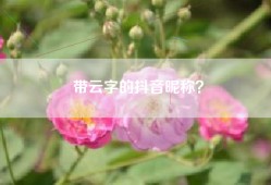 带云字的抖音昵称？