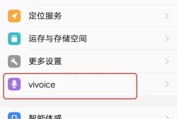 vivoice怎么发音优质