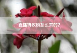 直播协议粉怎么来的？