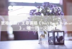 窦唯打鼓，王菲演唱《Don't Break My Heart》，唯一的一次同台