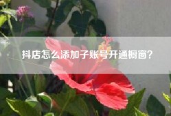 抖店怎么添加子账号开通橱窗？