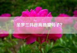 圣罗兰抖音高质量句子？