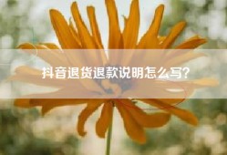 抖音退货退款说明怎么写？