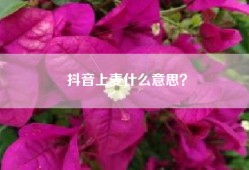 抖音上麦什么意思？