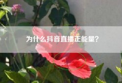 为什么抖音直播正能量？