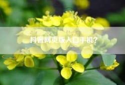 抖音网页版入口手机？