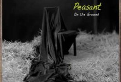 Fine is fine-Peasant(含On the Ground专辑下载)