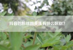 抖音的粉丝跟关注有什么区别？