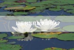 抖音名怎样取更吸引人？