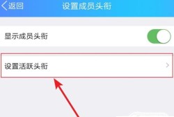 QQ群头衔怎么设置？优质