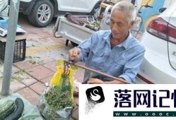 农村集市摆摊卖什么赚钱优质