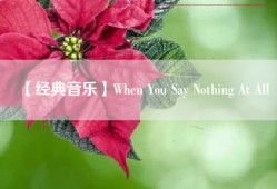 【经典音乐】When You Say Nothing At All