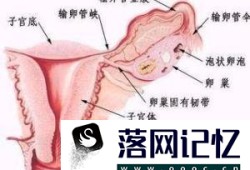 子宫内膜薄的症状优质