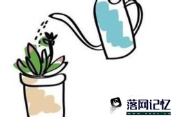 多肉植物怎么过冬？优质