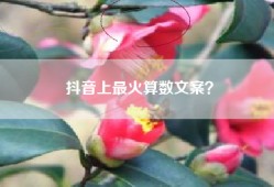 抖音上最火算数文案？