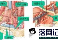 锁骨下静脉穿刺操作方法与步骤优质