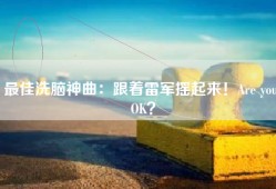 最佳洗脑神曲：跟着雷军摇起来！Are you OK？