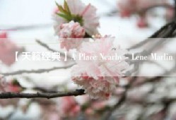 【天籁经典】A Place Nearby - Lene Marlin