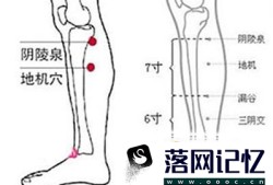 阴陵泉穴位位置图和作用优质