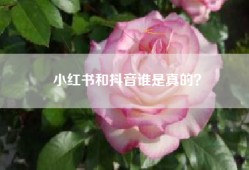 小红书和抖音谁是真的？