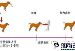 狂犬病一般多长时间会发作？优质