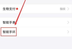 支付宝怎么设置小米手环2支付优质