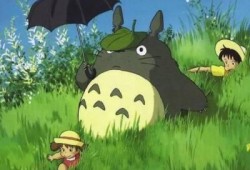 平静、温馨，温暖跳动的旋律：《龙猫my neighbor Totoro》