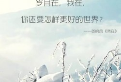 我在，你还要怎样更好的世界？