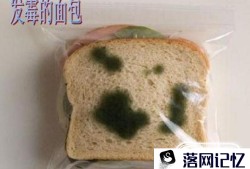 吃什么食物容易拉肚子？优质