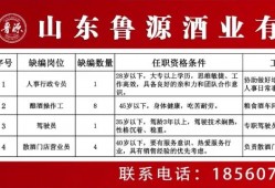 第二小学儒林集大桥已经可以通车了！