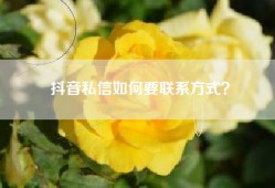 抖音私信如何要联系方式？