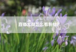 直播大屏怎么看粉丝？