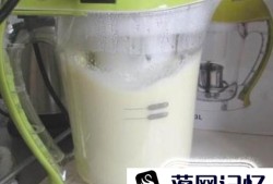 教你如何制作美味豆浆优质