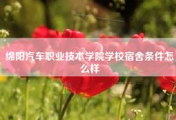 绵阳汽车职业技术学院学校宿舍条件怎么样