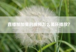 直播加加里的视频怎么循环播放？