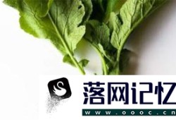 白萝卜叶子的功效与作用