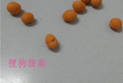 怎样制作章鱼？优质