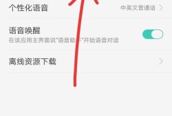 OPPO R9使用语音助手没反应怎么回事？优质