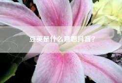 豆荚是什么意思抖音？