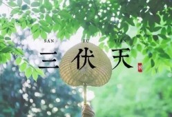 宁夏中宁 / 郭荣  【诗词】《伏天之感（外四首）》