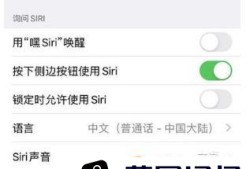 Siri无法回应是怎么回事？Siri无法回应解决办法优质