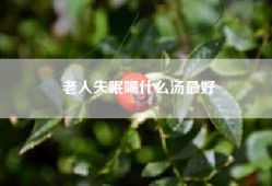 老人失眠喝什么汤最好