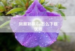 凤凰彩票app怎么下载
优质