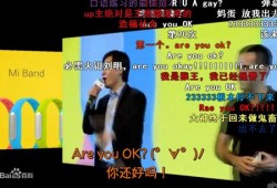 最佳洗脑神曲：跟着雷总摇起来！Are you OK？