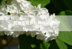 直播违规多长时间能查到？