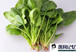 菠菜汤的营养价值和功效