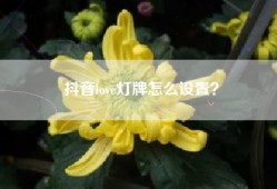 抖音love灯牌怎么设置？