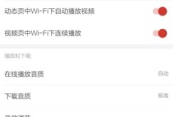 网易云音乐怎么调音效优质