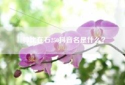 帅比在石250抖音名是什么？