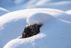 梦见雪球往下滚预示着什么